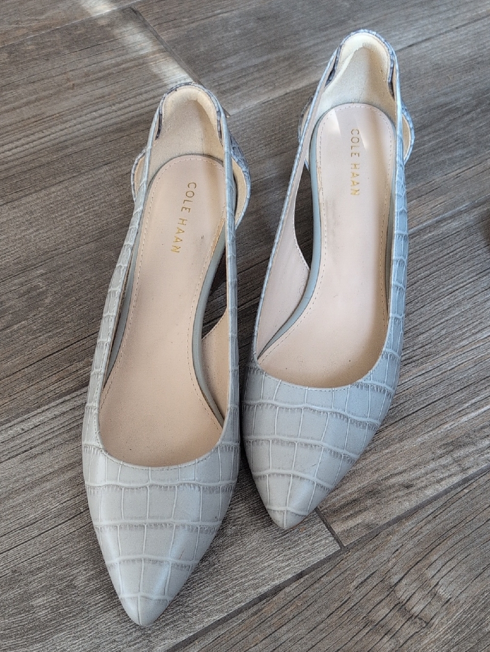 Cole Haan Light Blue Croc-Embossed Pointed Toe Slingback Flats